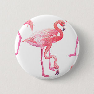Flamingos Knapp