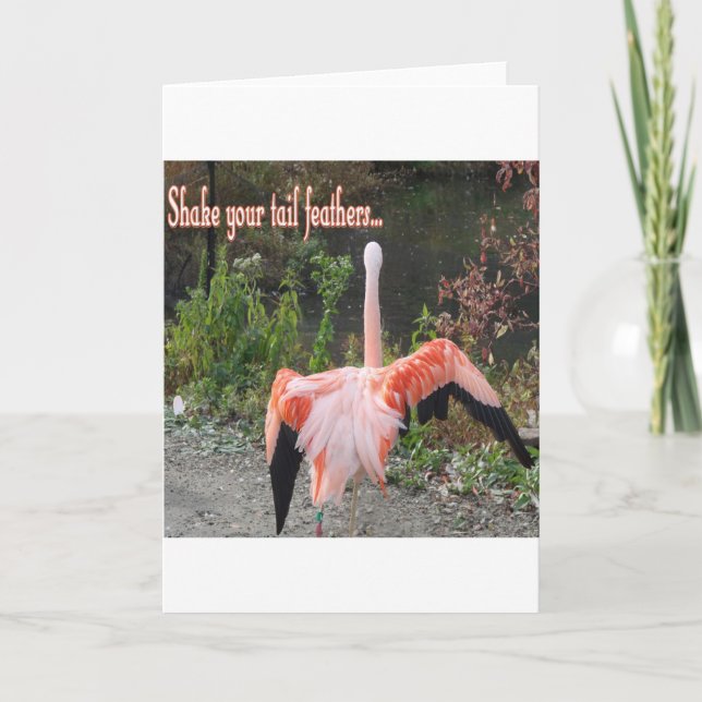 Flamingos Kort (Framsida)