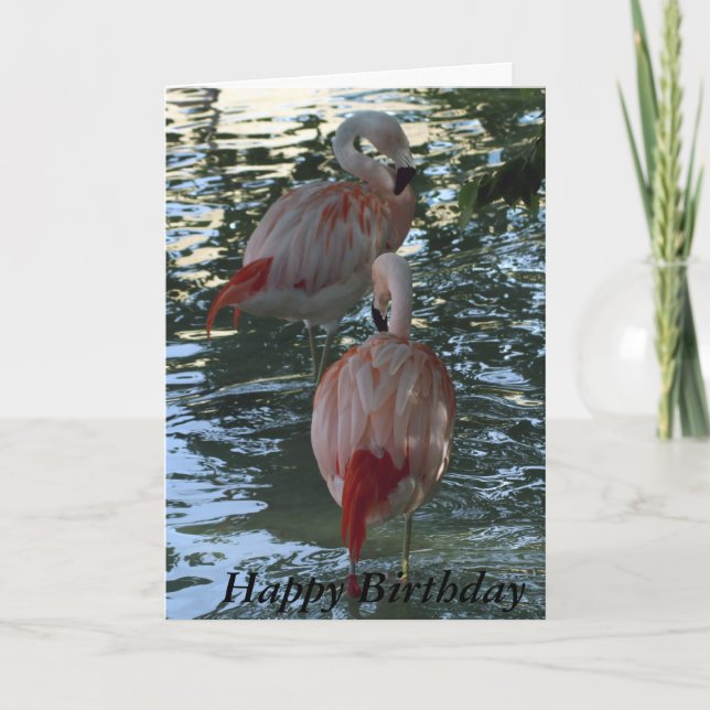 Flamingos Kort (Framsida)