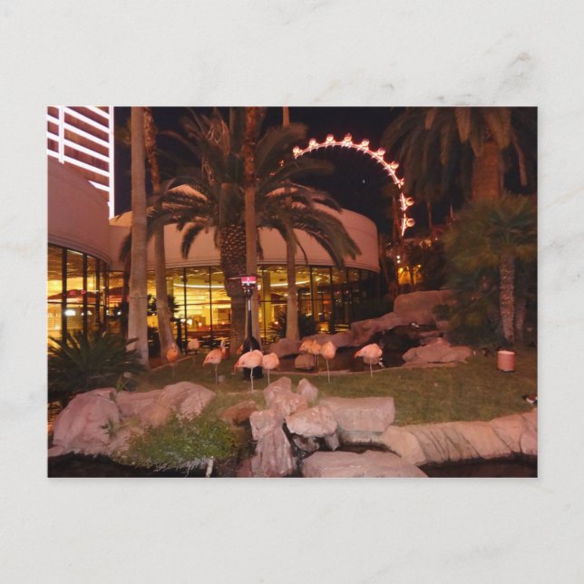 Flamingos, Las Vegas vycard Vykort (Framsida)