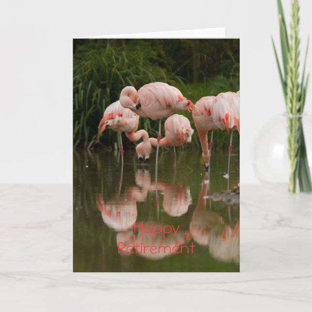 Flamingos Lycklig Pension-kort Kort (Framsida)