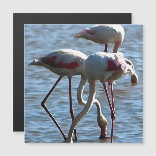 Flamingos Matande tid Akrylmålning (Fram/baksida)