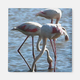 Flamingos Matande tid Akrylmålning Magnet