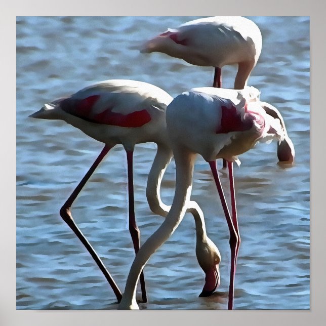 Flamingos Matande tid Akrylmålning Poster (Framsidan)