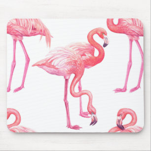 Flamingos Musmatta