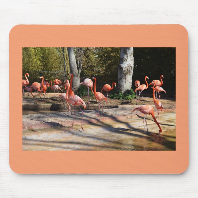 Flamingos Musmatta (Framsidan)