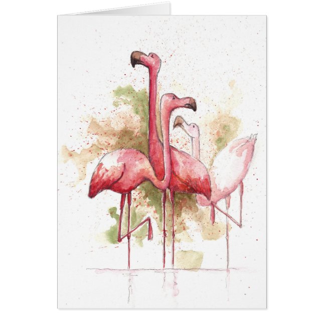 Flamingos OBS Kort (Framsidan)