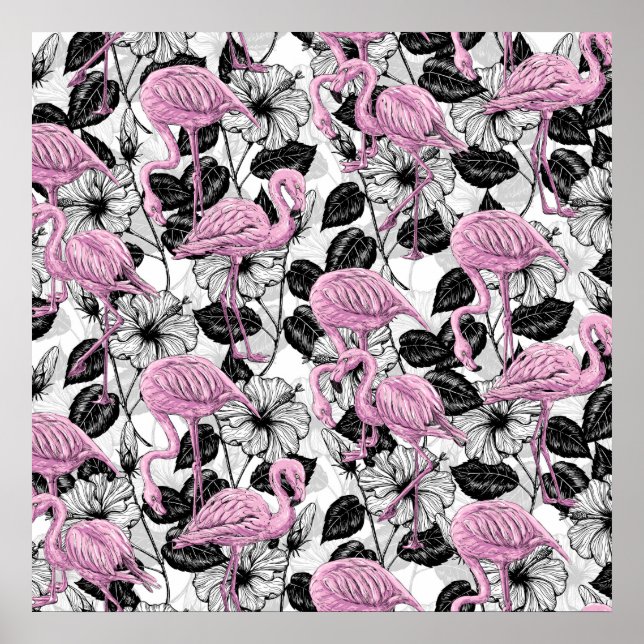 Flamingos och hibiscus-blommor poster (Framsidan)