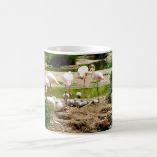 Flamingos och ungar kaffemugg