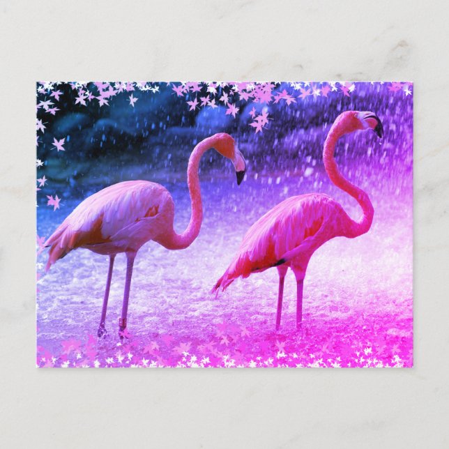 Flamingos och vattenfall vykort (Framsida)