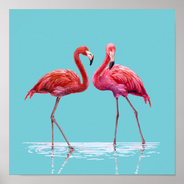Flamingos Poster (Framsidan)
