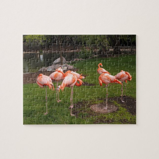 Flamingos Pussel (Horisontell)