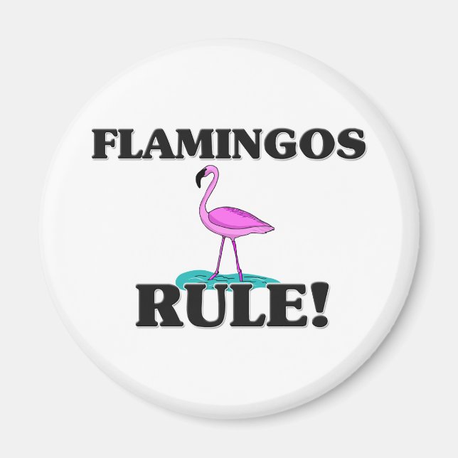 FLAMINGOS-regel! Magnet (Framsidan)