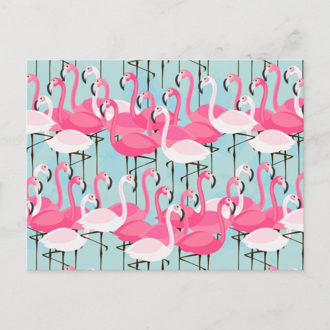Flamingos rosa och vita folkmassor vykort (Framsida)