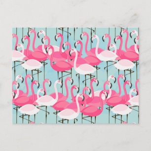 Flamingos rosa och vita folkmassor vykort