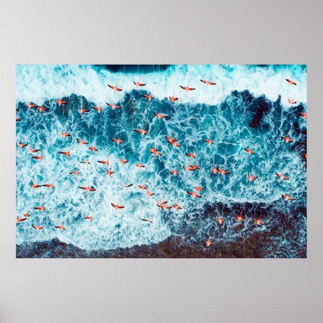 Flamingos som flyger på stranden av karibbönesjön, poster (Framsidan)