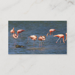 Flamingos Visitkort