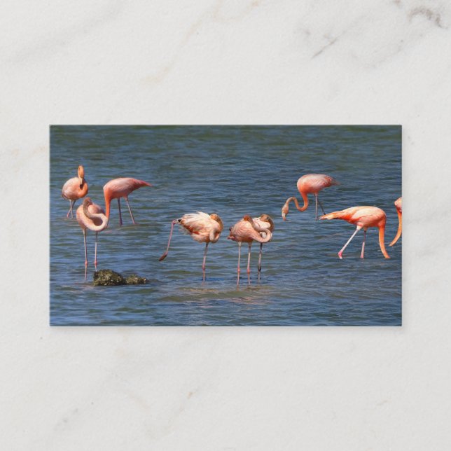 Flamingos Visitkort (Framsida)