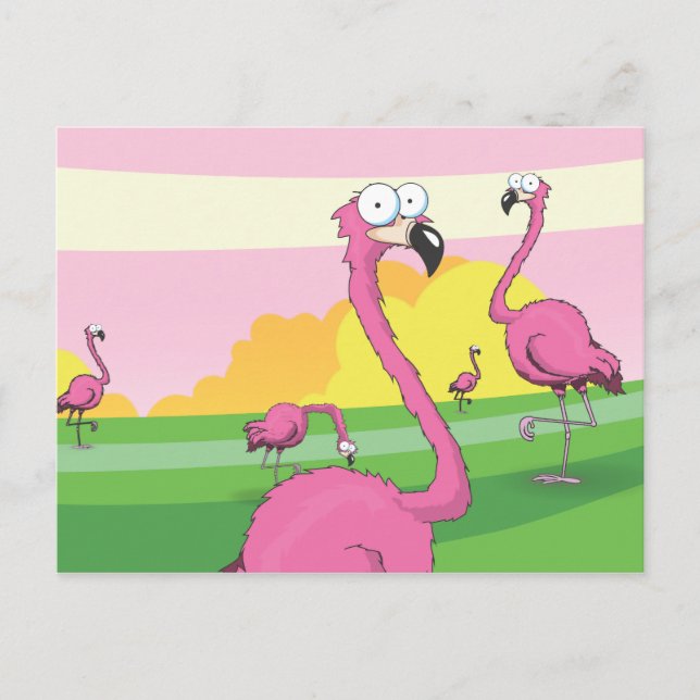 flamingos vykort (Framsida)
