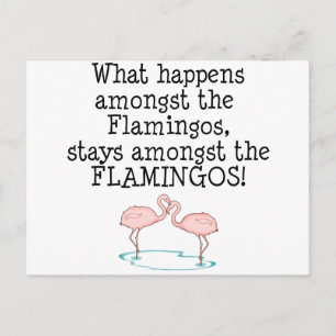 Flamingos Vykort