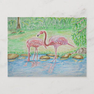 Flamingos Vykort