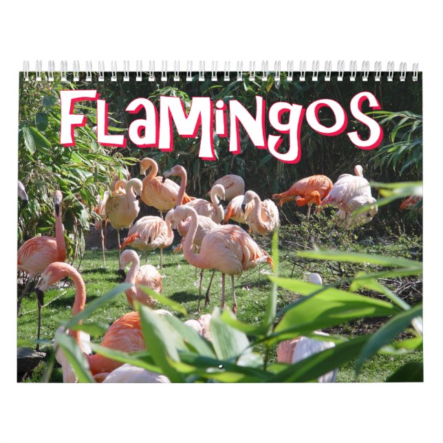 Flamingoskalender Kalender (Omslag)