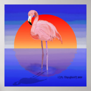Flamingosolnedgång Poster