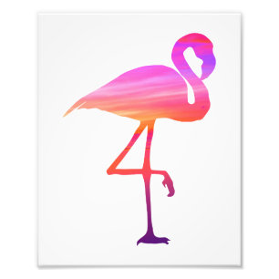 Flamingosolnedgångtryck Fototryck