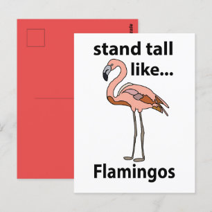 Flamingosstall som Flamingos Flamingo Vykort