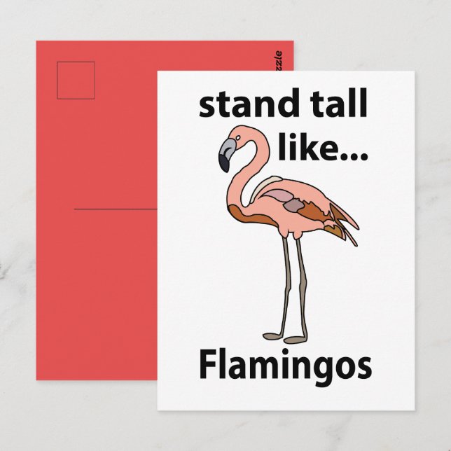 Flamingosstall som Flamingos Flamingo Vykort (Fram/baksida)