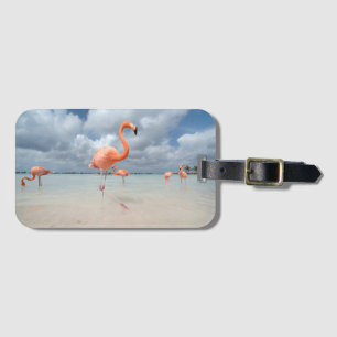 Flamingosstrand Aruba Bagagebricka