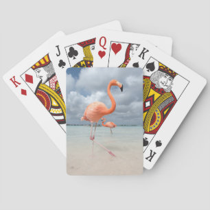 Flamingosstrand Aruba Casinokort