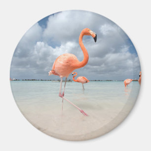 Flamingosstrand Aruba Magnet