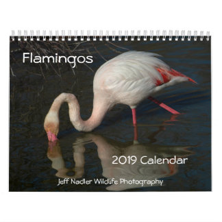 Flamingosväggkalender 2019 kalender