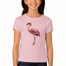 Flamingovintageillustration