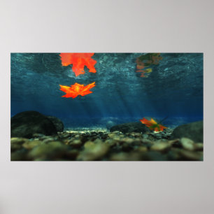 Flamma i vattentrycket poster