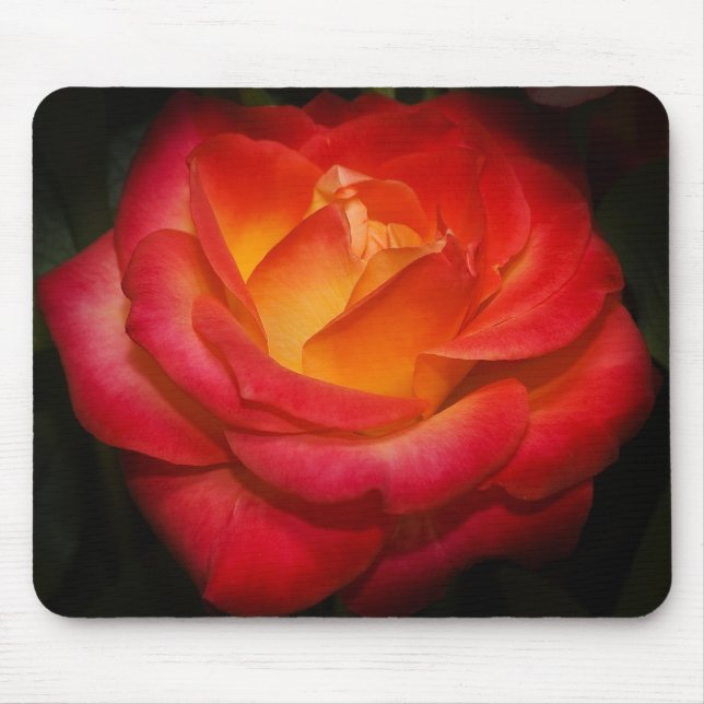 Flamma rosa mousepad musmatta (Framsidan)