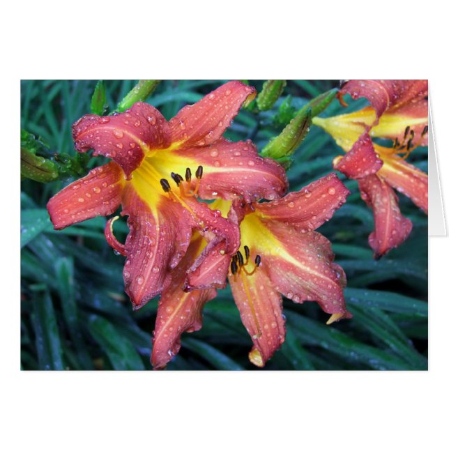 Flammande fackla hälsningskort (Framsidan Horizontal)