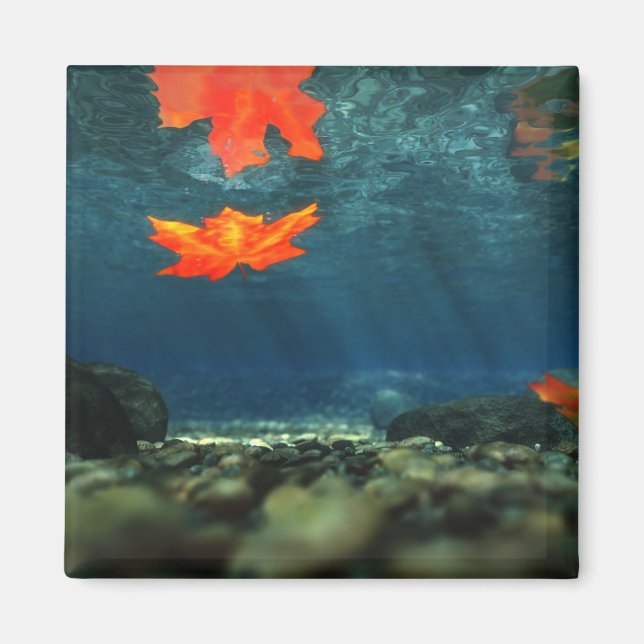 Flammet i Vatten Magnet (Framsidan)