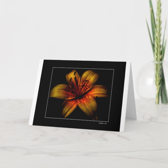 Flamming Passion Flower Kort (Framsida)