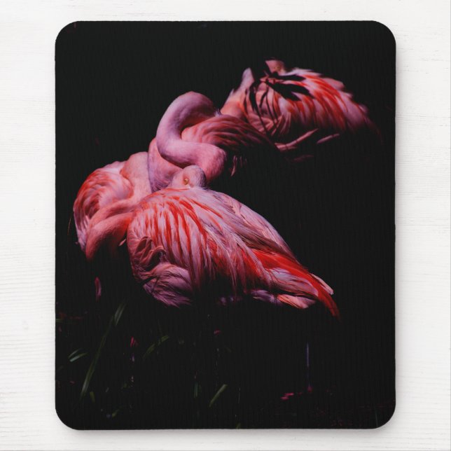 Flamor i mörkret musmatta (Framsidan)