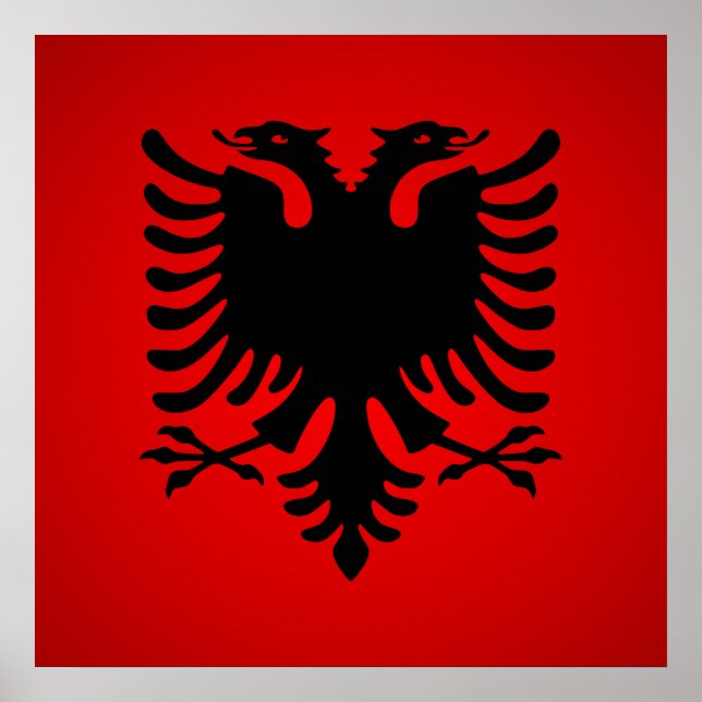 Flamuri shqiperise poster (Framsidan)