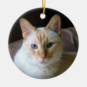 Flamynpunkt siamesisk katt med blå Ögon Julgransprydnad Keramik