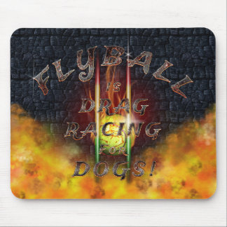 Flamz: Friktionstävla för hundar! Musmatta
