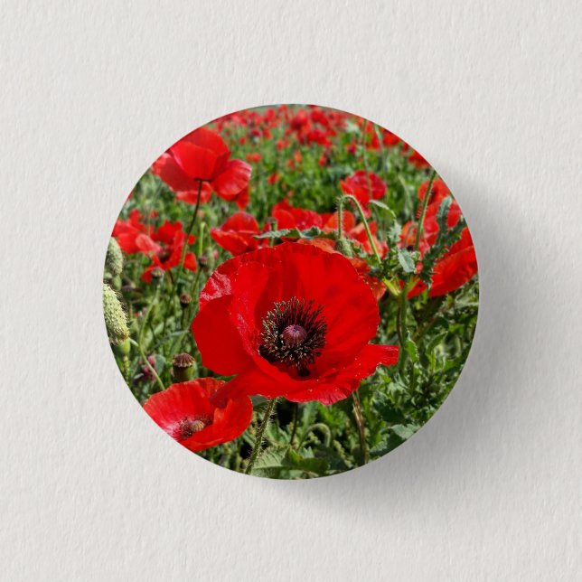 Flanders Poppy Button Knapp (Framsida)