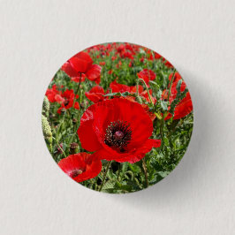 Flanders Poppy Button Knapp
