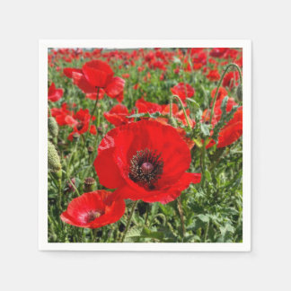 Flanders Poppy Napkins Pappersservett