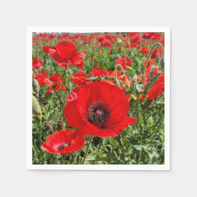 Flanders Poppy Napkins Pappersservett (Framsidan)