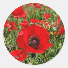 Flanders Poppy Sticker Runt Klistermärke