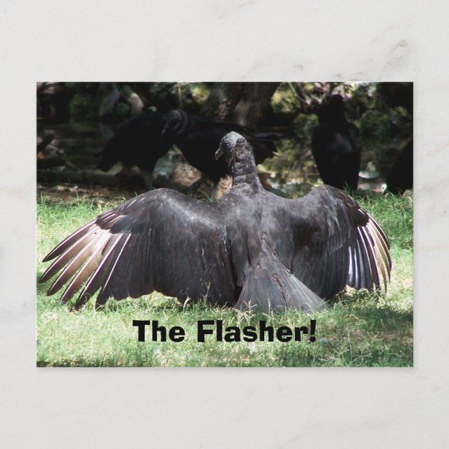 Flänsaren! Vykort (Framsida)